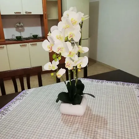 Casa vacanze Rovi Cisternino